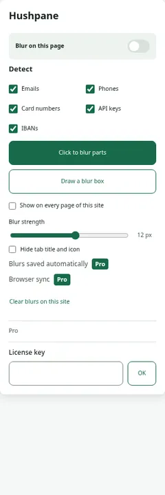 The Hushpane popup with the blur switch and detector settings